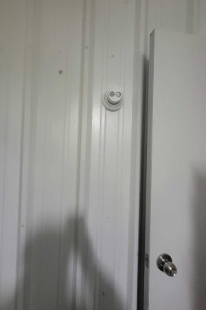 1000006019